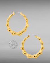 Load image into Gallery viewer, Bamboo Hoop
